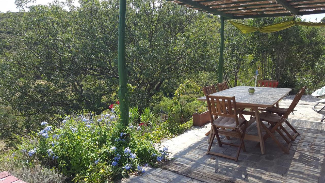 Fraissé-des-Corbières La Loubiere, Ancienne Bergerie En Pleine Garrigue Bed & Breakfast エクステリア 写真