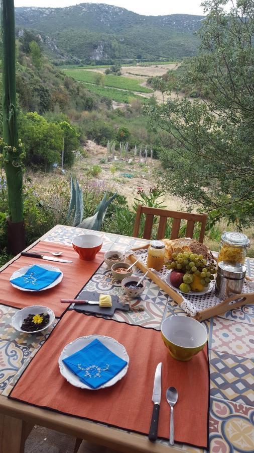 Fraissé-des-Corbières La Loubiere, Ancienne Bergerie En Pleine Garrigue Bed & Breakfast エクステリア 写真