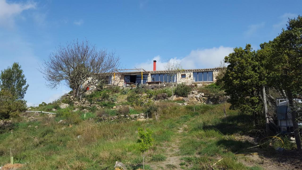 Fraissé-des-Corbières La Loubiere, Ancienne Bergerie En Pleine Garrigue Bed & Breakfast エクステリア 写真