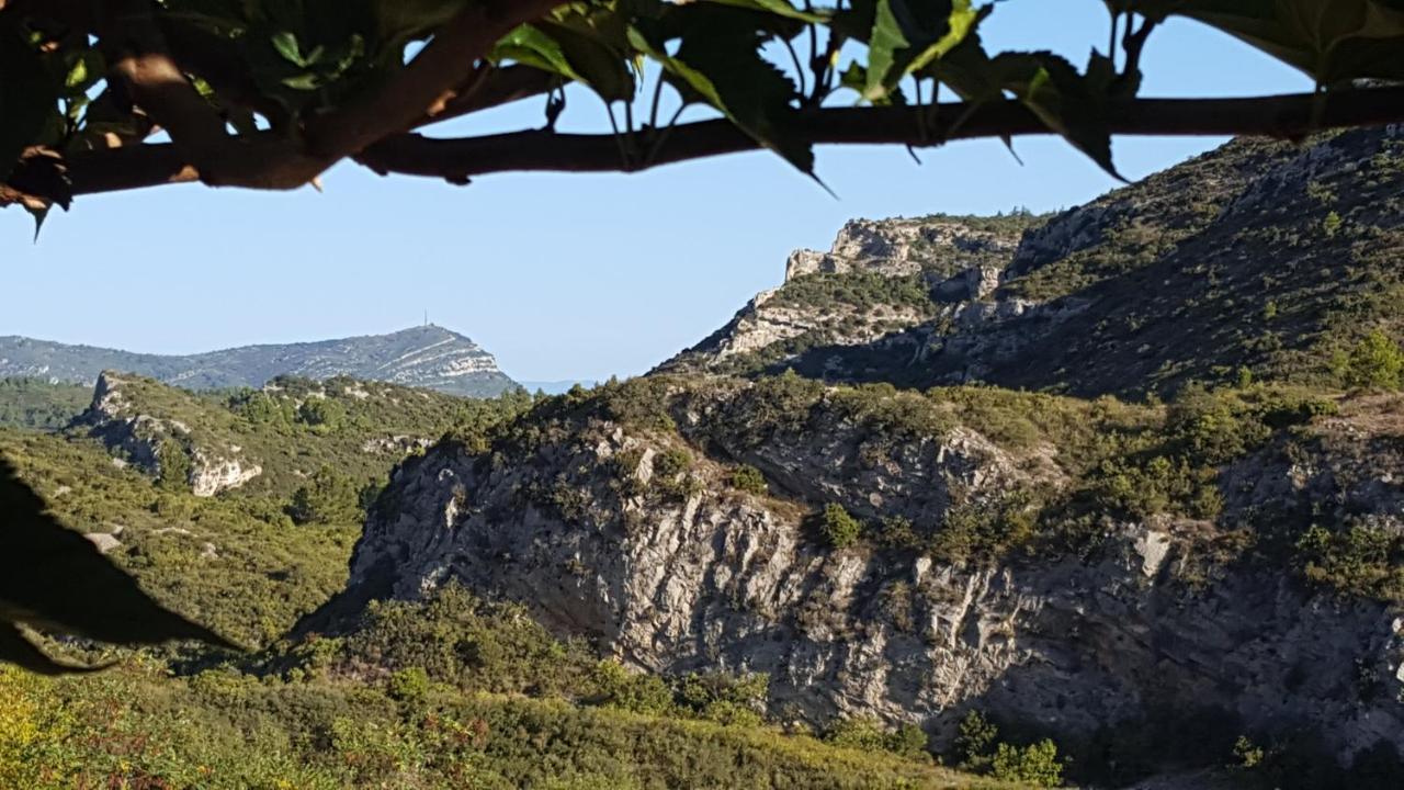 Fraissé-des-Corbières La Loubiere, Ancienne Bergerie En Pleine Garrigue Bed & Breakfast エクステリア 写真