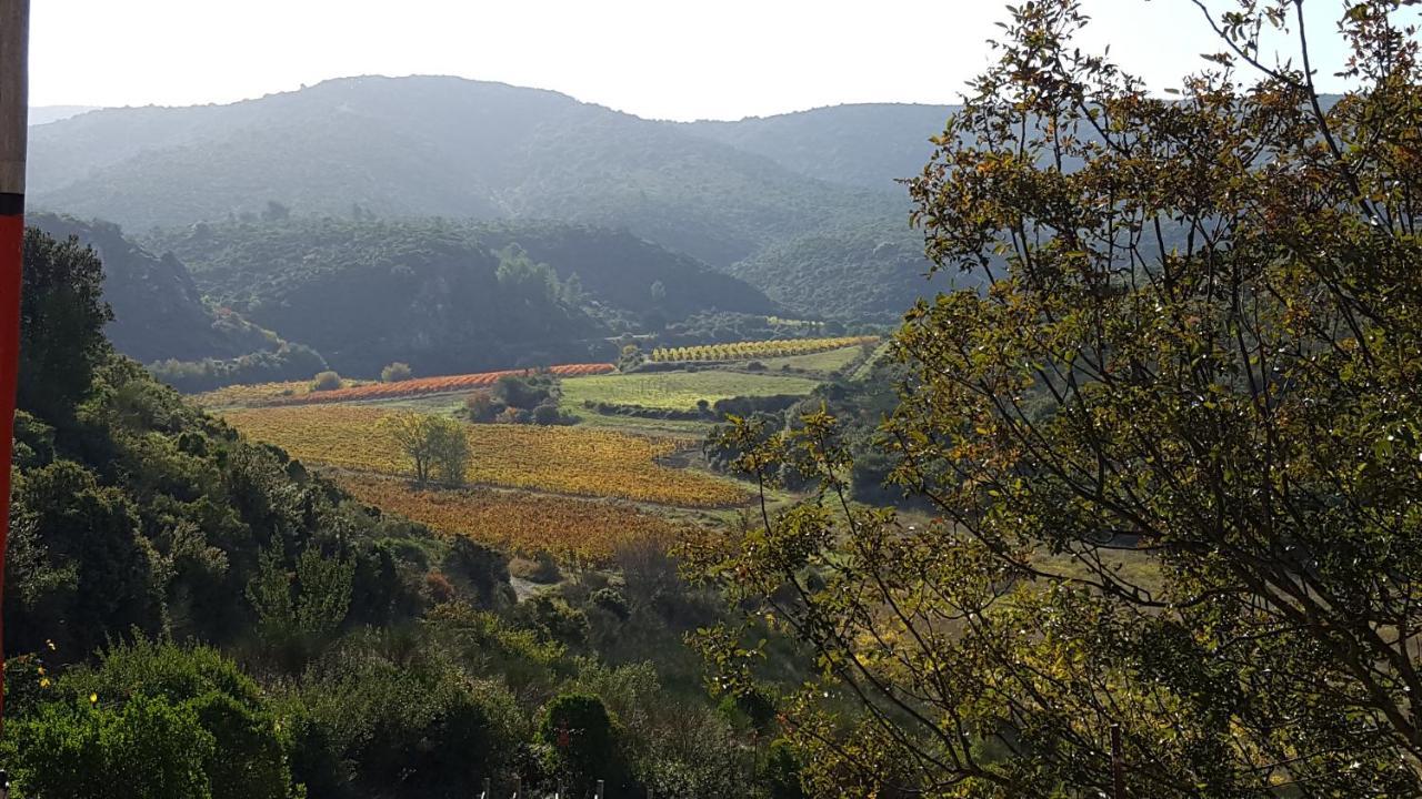 Fraissé-des-Corbières La Loubiere, Ancienne Bergerie En Pleine Garrigue Bed & Breakfast エクステリア 写真