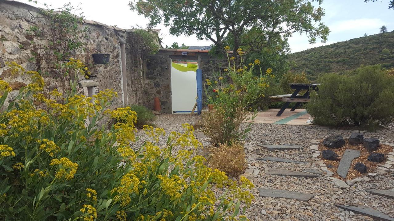 Fraissé-des-Corbières La Loubiere, Ancienne Bergerie En Pleine Garrigue Bed & Breakfast エクステリア 写真
