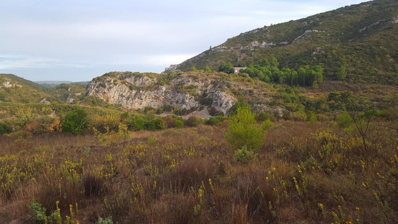 Fraissé-des-Corbières La Loubiere, Ancienne Bergerie En Pleine Garrigue Bed & Breakfast エクステリア 写真