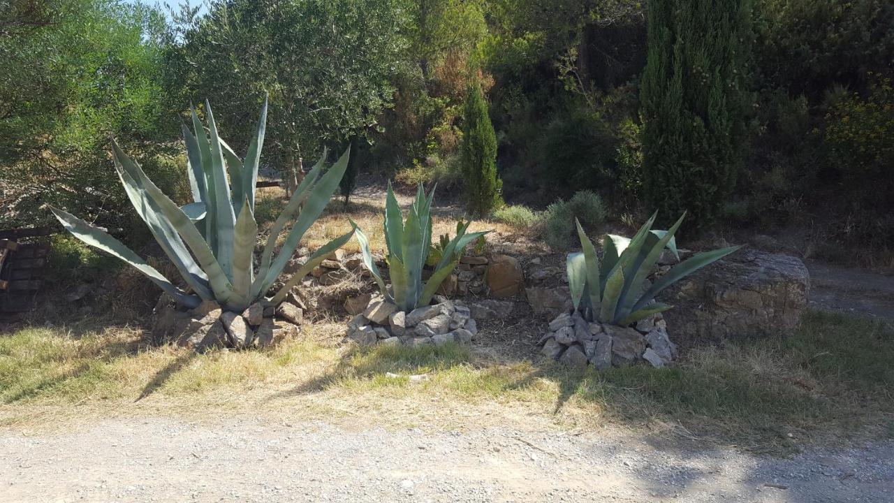 Fraissé-des-Corbières La Loubiere, Ancienne Bergerie En Pleine Garrigue Bed & Breakfast エクステリア 写真